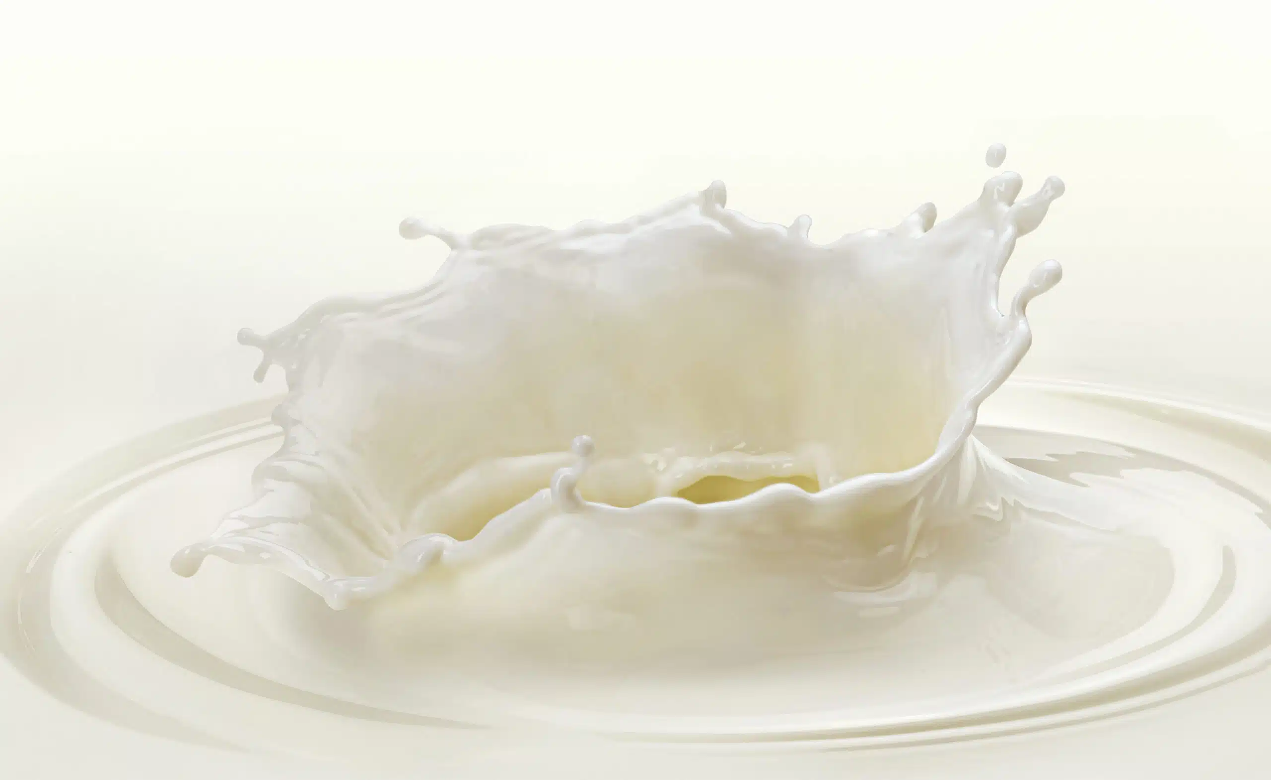 milk drop with splashes on white background 2026 01 06 09 36 10 utc